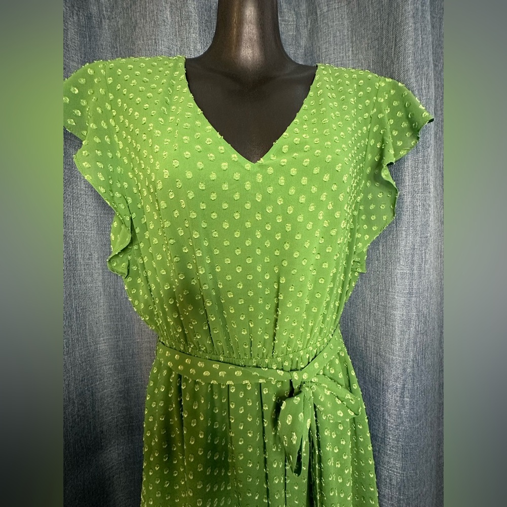 DR2 NWT S Green Swiss Dot A-Line Belted Dress‎ - Picture 5 of 6